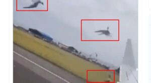 Video – Yolcu Uçağı Kuşa Çarptı Pilotlar Kalkışı İptal Etti