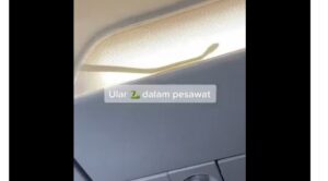 Yolcu Uçağı Yılan Yüzünden Mecburi İniş Yaptı