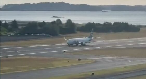 Video – Yolcu Uçağı Geyik Sürüsüne Çarptı